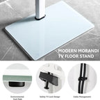 Floor TV Stand