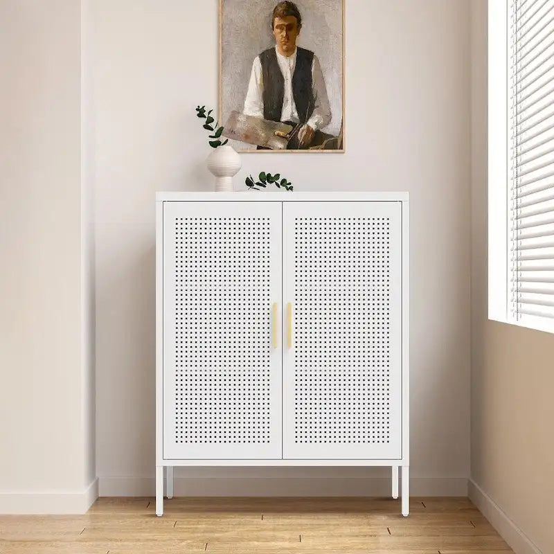 Metal Storage Cabinet with 2 Doors and 2 Adjustable Shelves, Steel Lockable Garage Storage Cabinet
