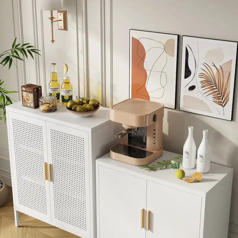 Metal Storage Cabinet with 2 Doors and 2 Adjustable Shelves, Steel Lockable Garage Storage Cabinet