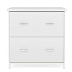 Lateral File Cabinet with 2 Drawers for Home Office, Letter Size