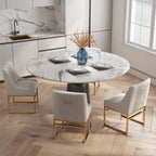 SEYNAR Contempoary Velvet Dining Chair with Metal Frame Legs, set of 4