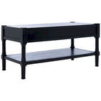 SAFAVIEH Alene 2-Drawer Bottom Shelf Coffee Table - 37.8 W x 19 L x 19 H - 38Wx19Dx19H