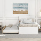 Modern Twin Bed Frame With Trundle