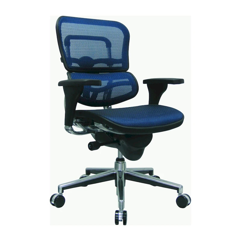 Ergohuman Mesh Managers Chair