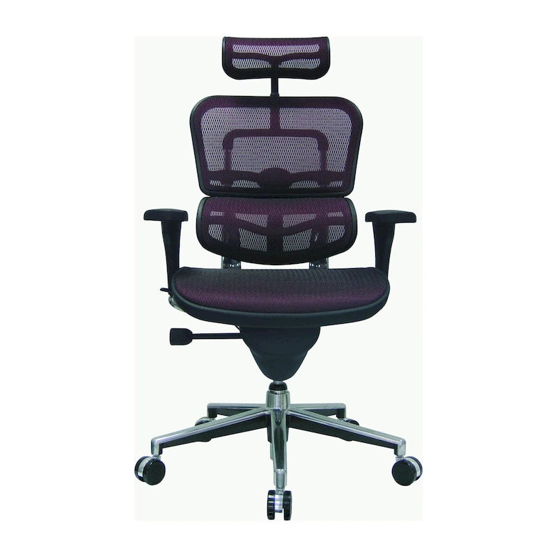Ergohuman Mesh Managers Chair