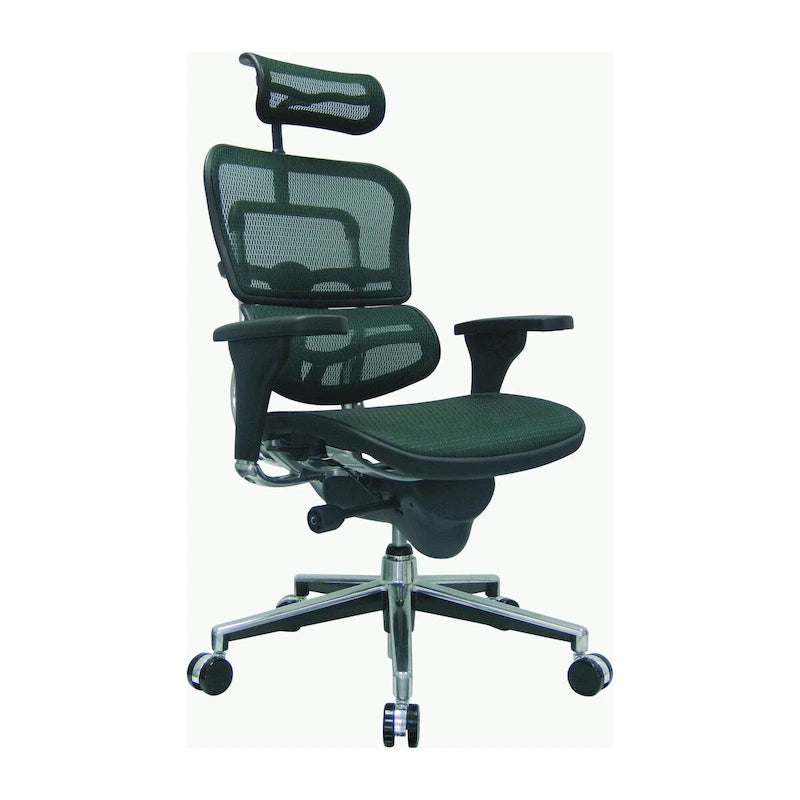 Ergohuman Mesh Managers Chair