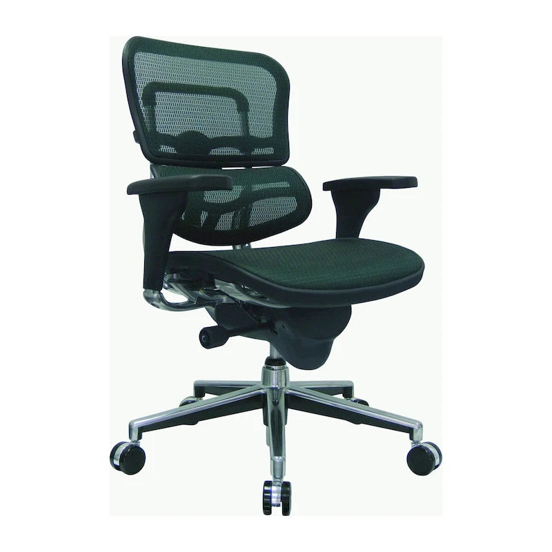 Ergohuman Mesh Managers Chair