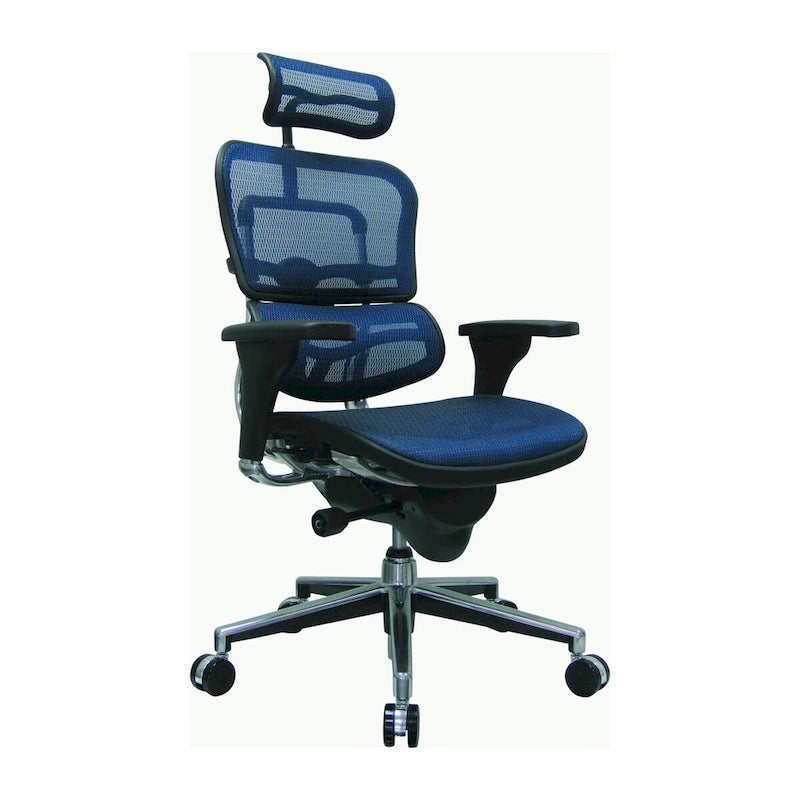  Ergohuman Mesh Managers Chair