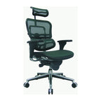 Ergohuman Mesh Managers Chair