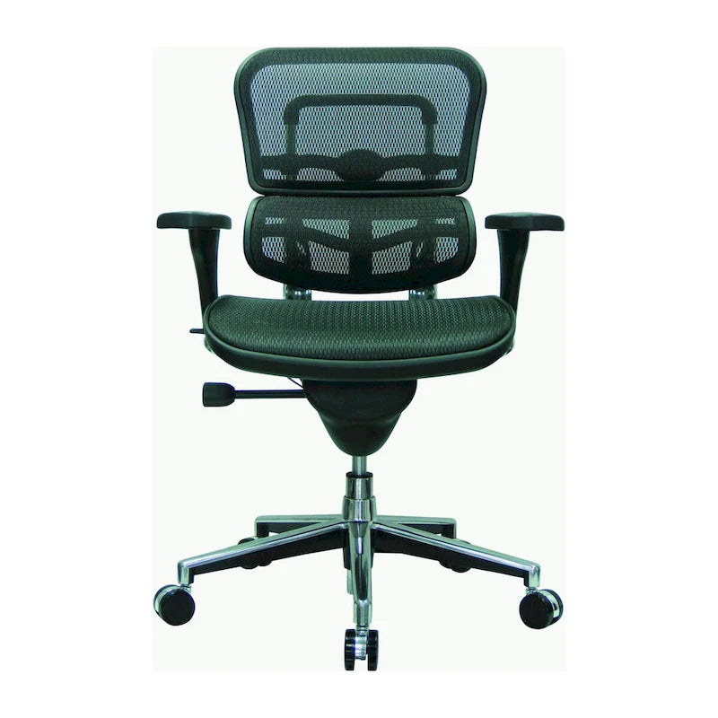 Ergohuman Mesh Managers Chair