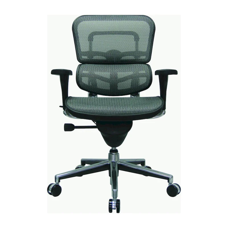 Ergohuman Mesh Managers Chair