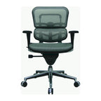 Ergohuman Mesh Managers Chair