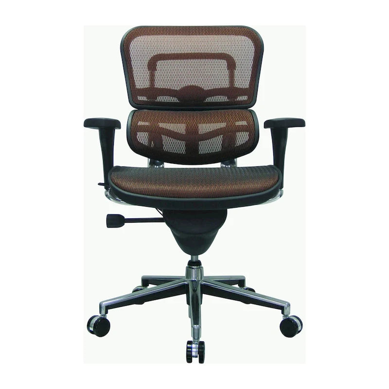 Ergohuman Mesh Managers Chair