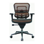 Ergohuman Mesh Managers Chair