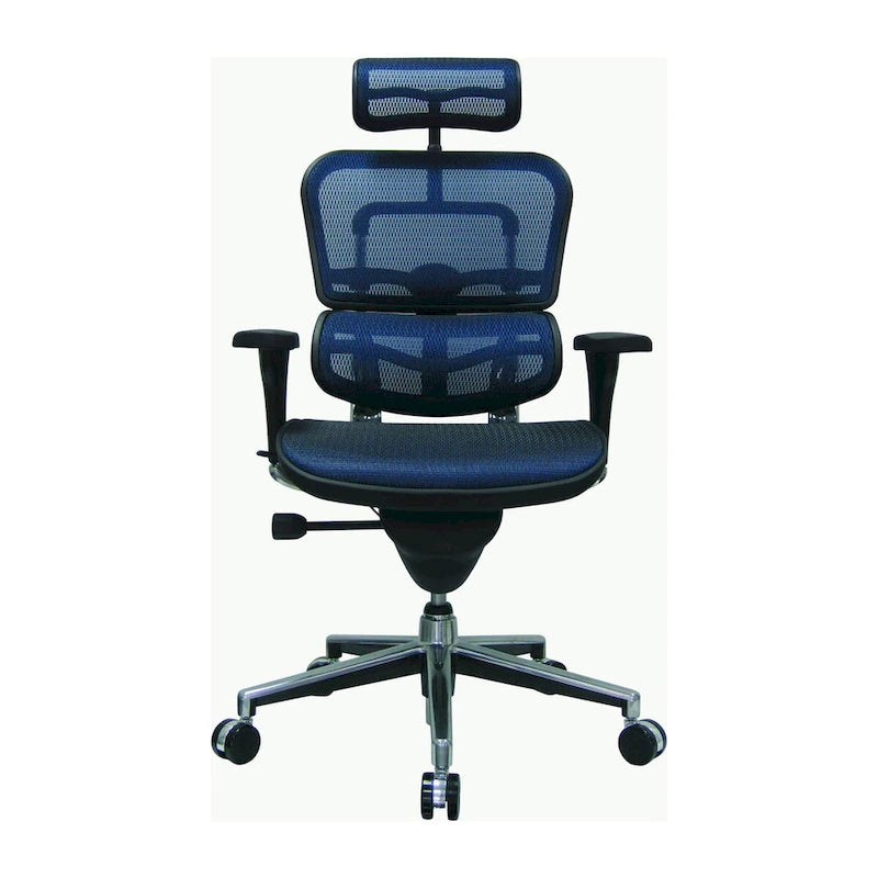 Ergohuman Mesh Managers Chair