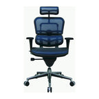 Ergohuman Mesh Managers Chair