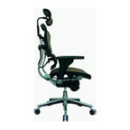 Ergohuman Mesh Managers Chair
