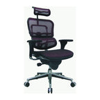 Ergohuman Mesh Managers Chair