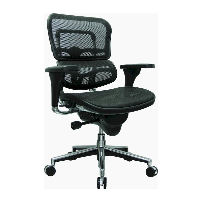 Ergohuman Mesh Managers Chair
