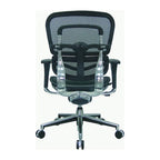 Ergohuman Mesh Managers Chair