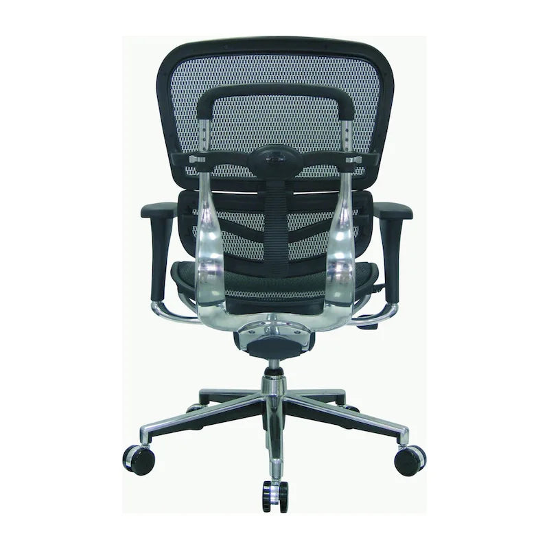 Ergohuman Mesh Managers Chair