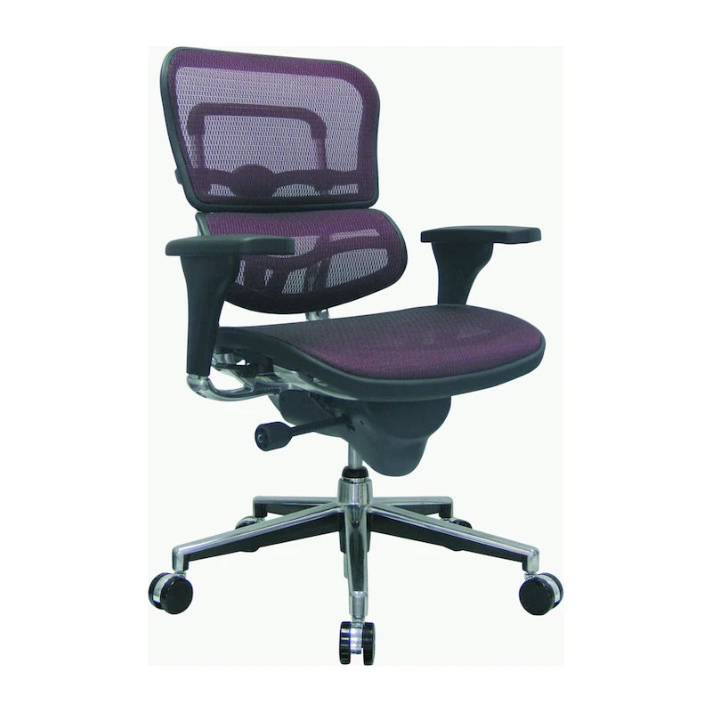 Ergohuman Mesh Managers Chair