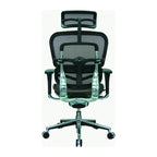 Ergohuman Mesh Managers Chair