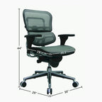 Ergohuman Mesh Managers Chair