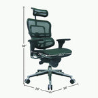 Ergohuman Mesh Managers Chair
