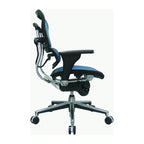 Ergohuman Mesh Managers Chair