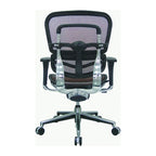 Ergohuman Mesh Managers Chair